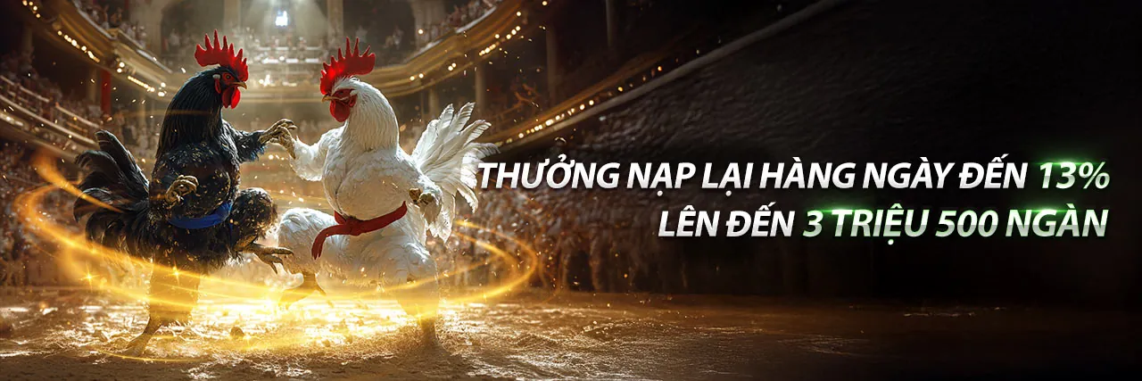 Gà Khét Của A Cọp Đá Thomo - Sân đấu gà trực tuyến